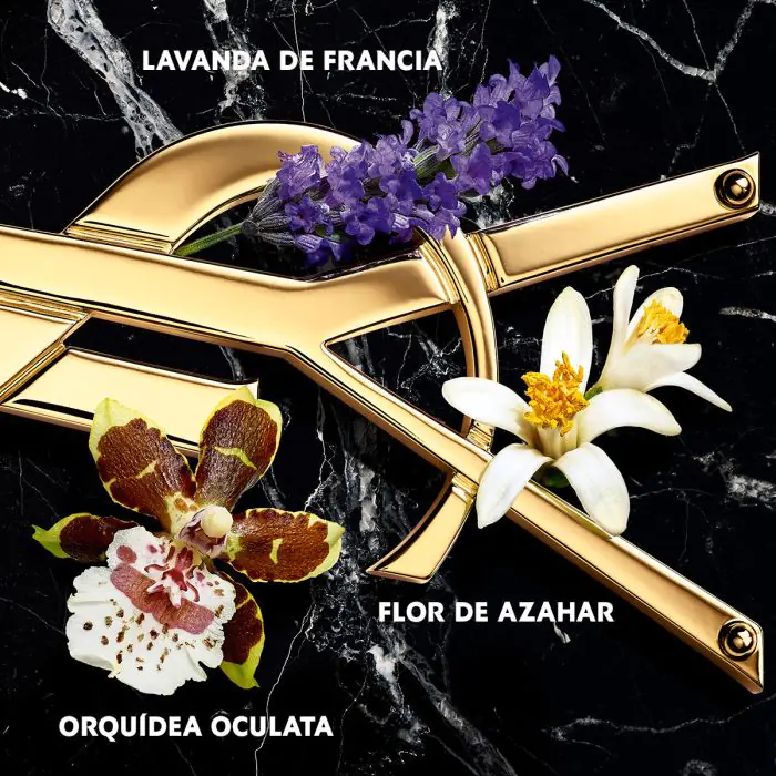 Yves Saint Laurent Libre Intense Eau de Parfum - Image 4